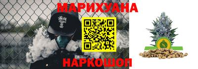 стаф Кунгур