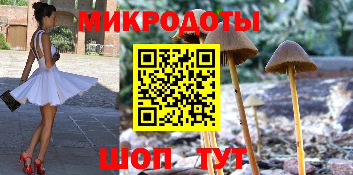 Галлюциногенные грибы Cubensis Котельники