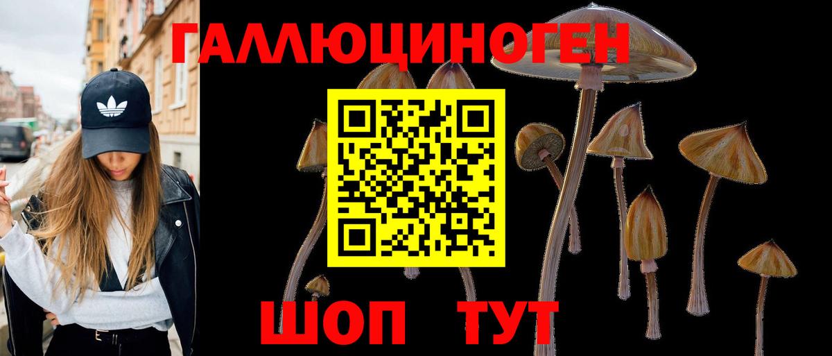 Галлюциногенные грибы ЛСД  Вход с VPN  Псилоцибиновые грибы мухоморы  продажа наркотиков  Котельники 